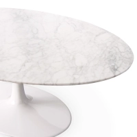 Mesa de Café Inspiration Tulip em Mármore Carrara - Design de Móveis