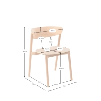 Ruokapöydän tuoli Notorius luonnon saarni | Elegantti design skandinaavinen